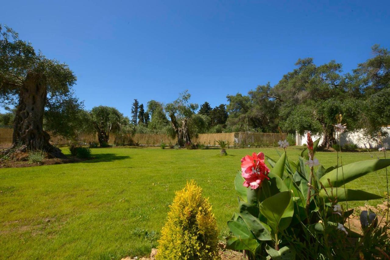 Villa La Casa Del Sole Halikounas Esterno foto